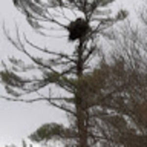 Meet your Posher, Sally